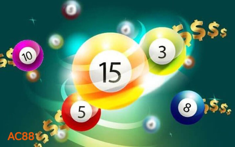 Đầu Lô Câm - Khái niệm cơ bản cần nắm